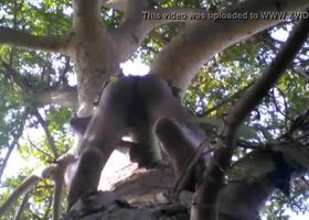 Tarzan boy sex in jungle wood